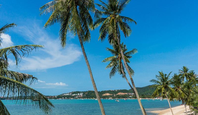 B House Samui Hotel Bang Rak Beach  Buitenkant foto